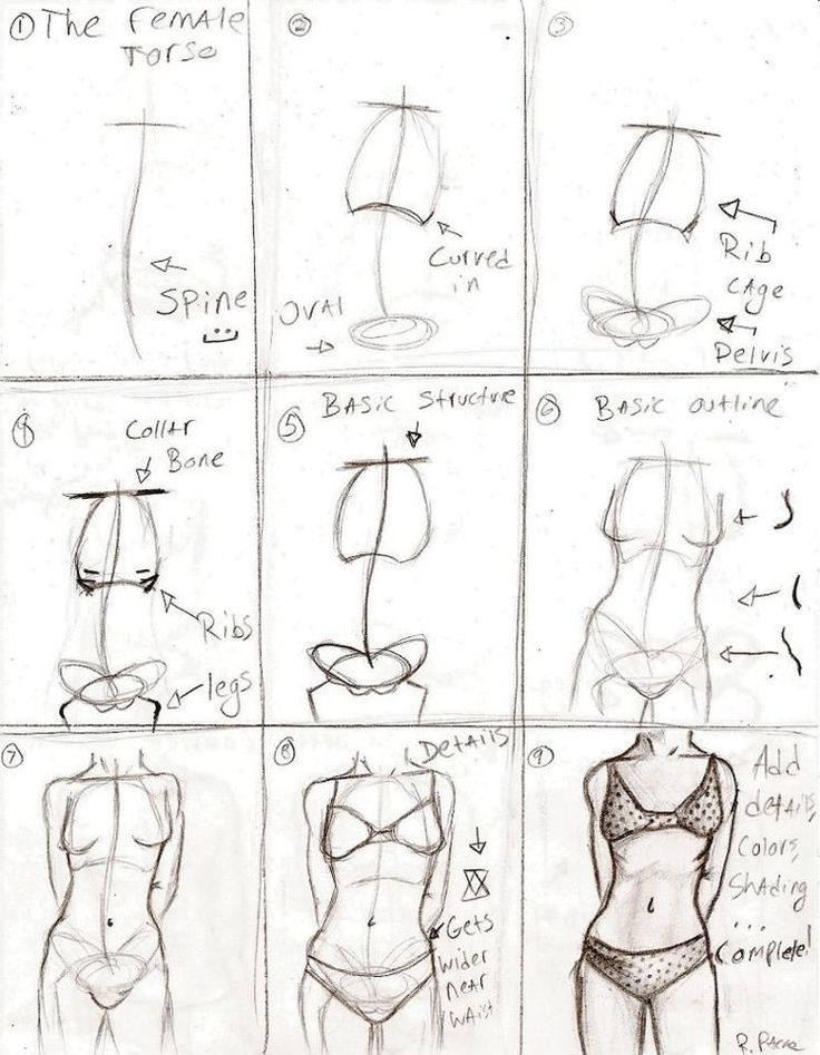 Featured image of post Female Torso Drawing Tutorial My drawings have been female and slender